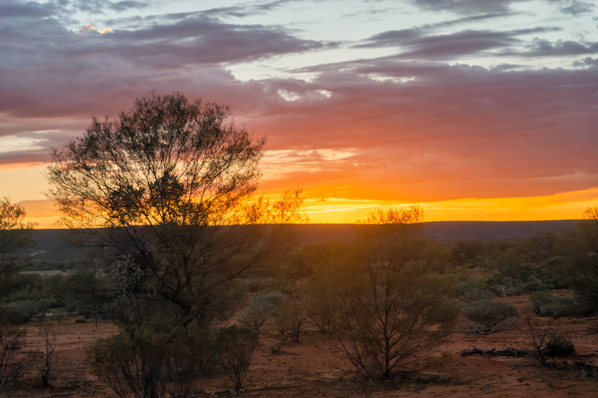 Morgentliche Stimmung auf dem Weg zum Uluru / Ayers Rock